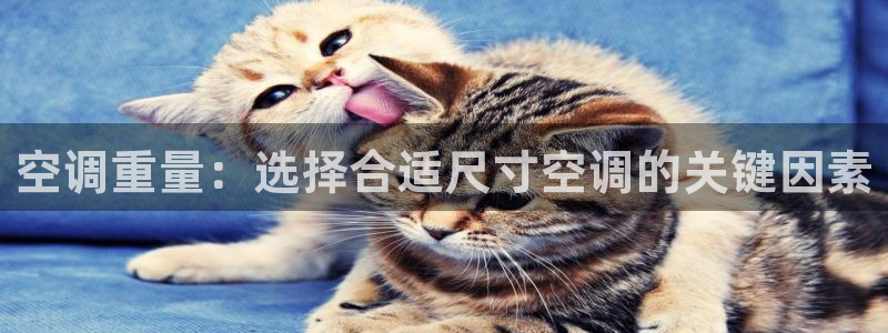 环球360i聊